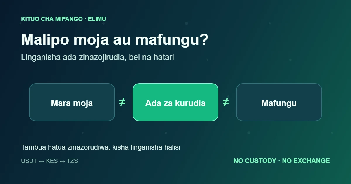 Malipo ya USDT: mara moja au kwa mafungu?